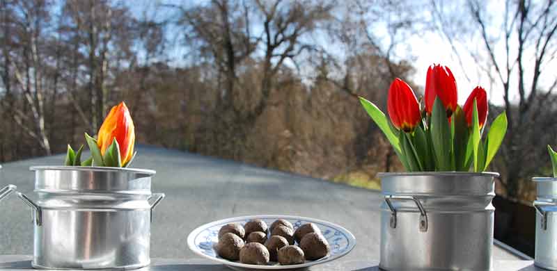 Make your own seed balls for butterflies and bees