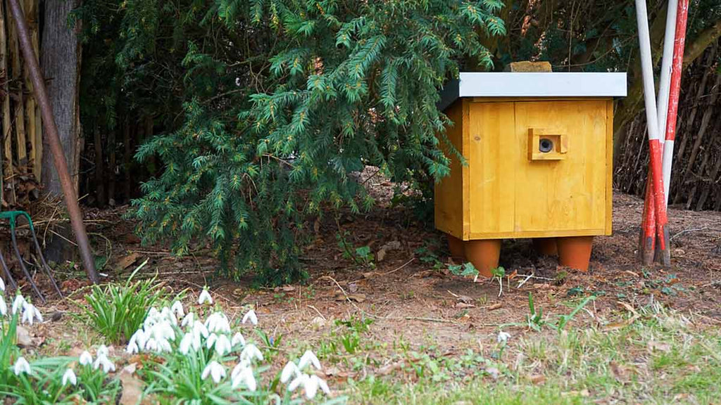 Build your own bumblebee castle